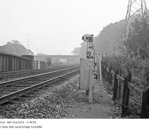 CUL2272