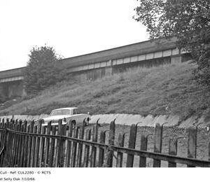 CUL2280