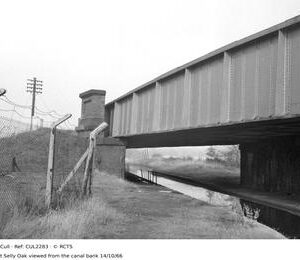 CUL2283