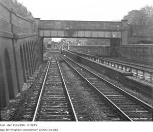 CUL2294