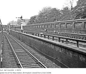 CUL2295