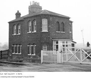 CUL2377