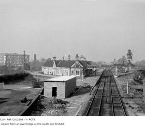 CUL2381