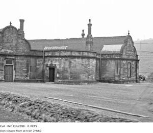CUL2398