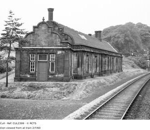 CUL2399