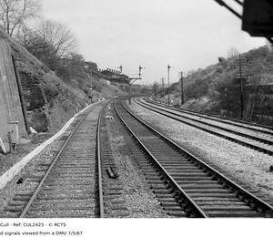 CUL2425