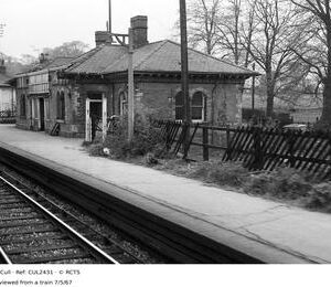 CUL2431