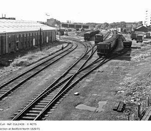CUL2439