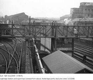 CUL2449