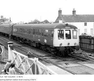 CUL2454