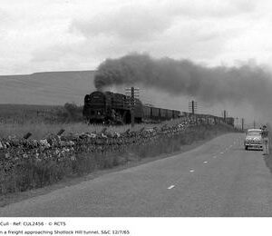 CUL2456