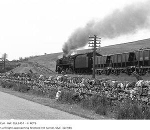 CUL2457