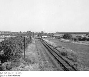 CUL2459