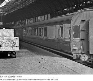 CUL2493