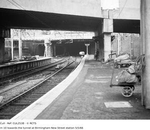 CUL2538