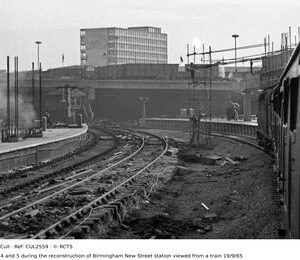 CUL2559