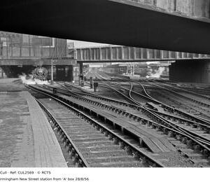 CUL2569