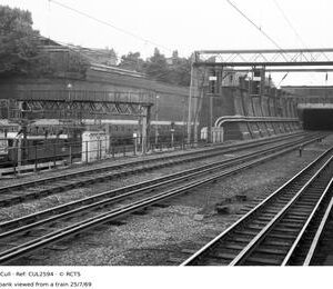 CUL2594