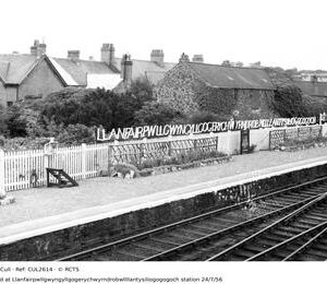 CUL2614