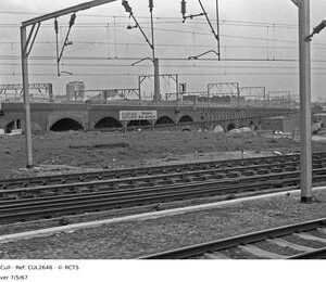 CUL2646