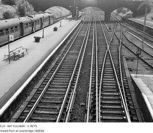 CUL2684