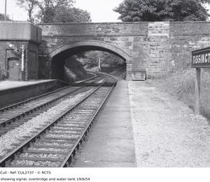 CUL2737