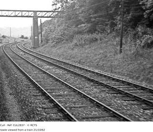 CUL2837