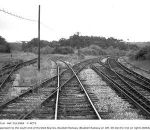 CUL2869