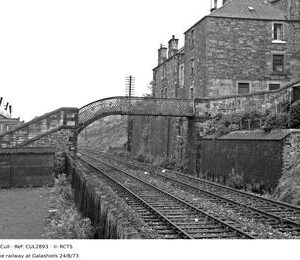 CUL2893