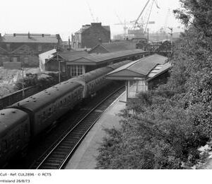 CUL2896