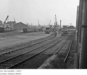 CUL2899