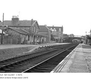 CUL2907