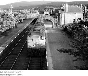 CUL2909