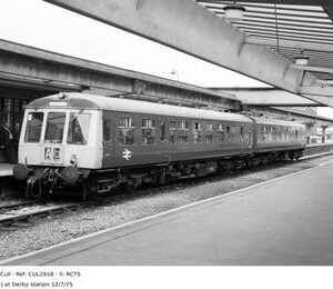 CUL2918