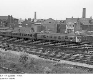 CUL2919
