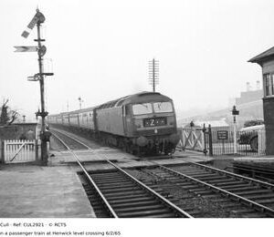 CUL2921
