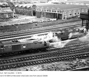 CUL2941