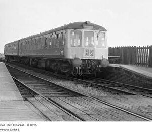 CUL2944