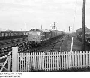 CUL2949