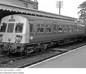 CUL2951