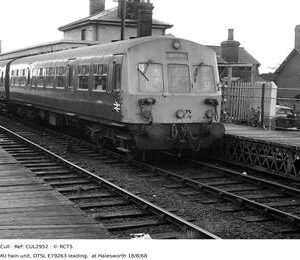 CUL2952