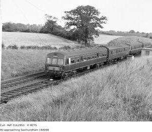 CUL2953