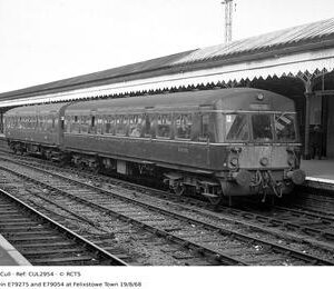 CUL2954