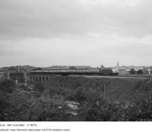 CUL2982