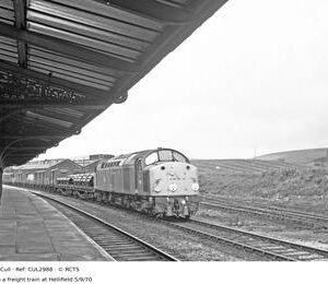 CUL2988