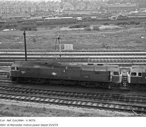 CUL2994