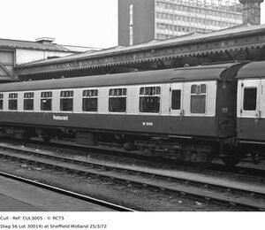 CUL3005