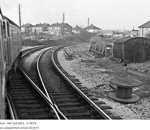 CUL3015