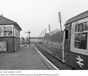 CUL3016