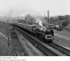 CUL3018